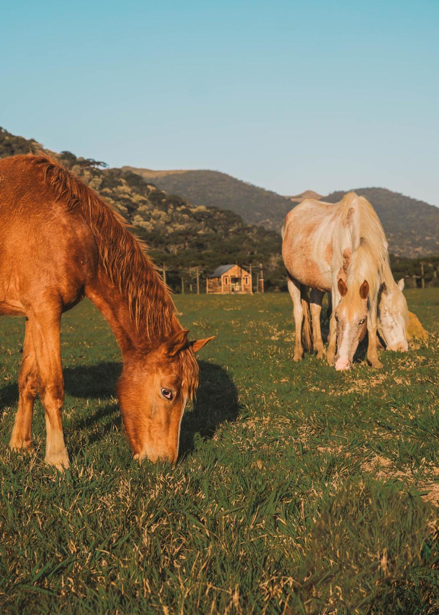 אורוביסי Parque Nacional Ecoresort מראה חיצוני תמונה